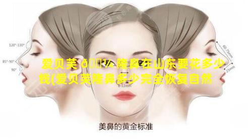 爱贝芙 🌼 隆鼻在山东要花多少钱(爱贝芙隆鼻多少完全恢复自然)